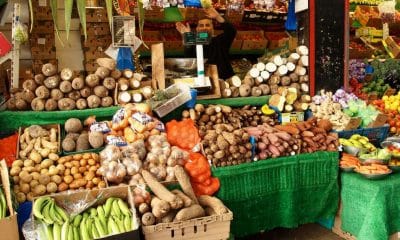 Full List: Ogbono Beans, Egusi, Other Nigerian Foods Rejected Abroad