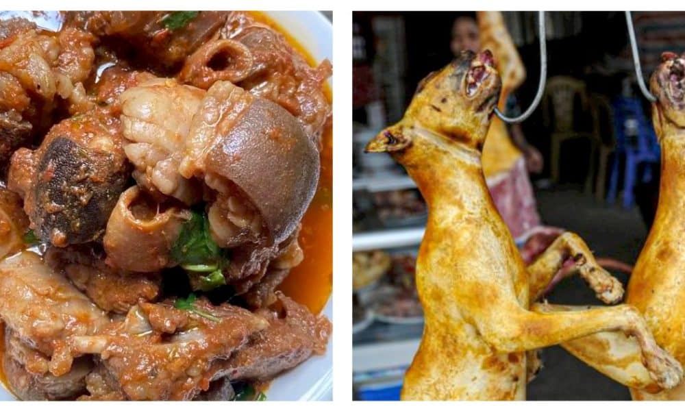 Protest As Residents Accuse Muslim Man Of Sharing Dog Meat In Kaduna