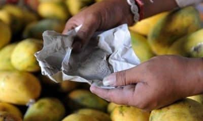 NAFDAC Condemns Use Of Carbide For Fruit Ripening