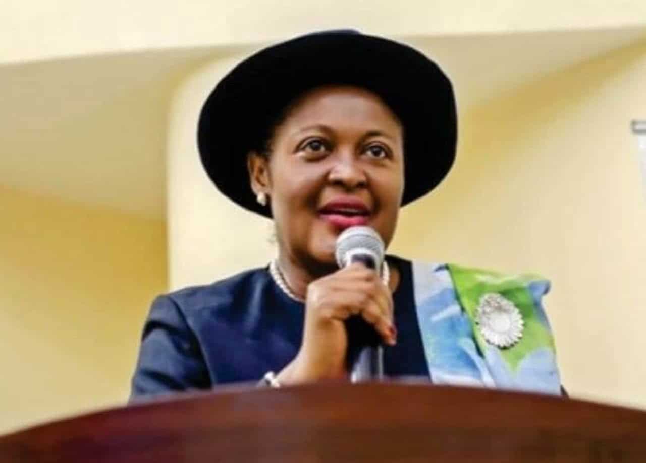 My Recent Speech Was Mischievously Twisted - Mary Odili