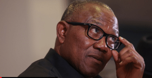 Peter Obi Speaks On Forensic Audit On LP's Accounts