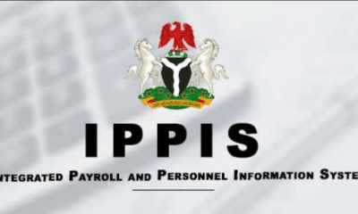 FG Removes Universities, Polytechnics From IPPIS, Introduces New Platform