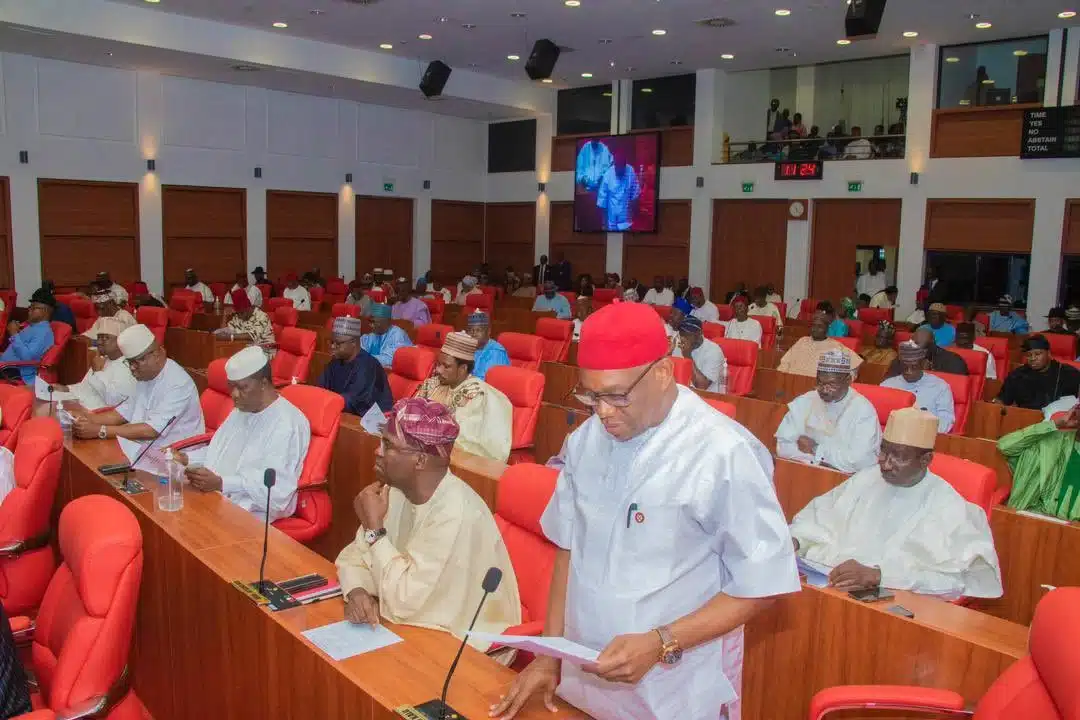Senate Disagrees With Tinubu's Minister, Picks Age For Admission Into Nigerian Universities