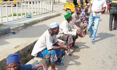 Muslims Must Stop Street Begging In Nigeria - Islamic Scholar