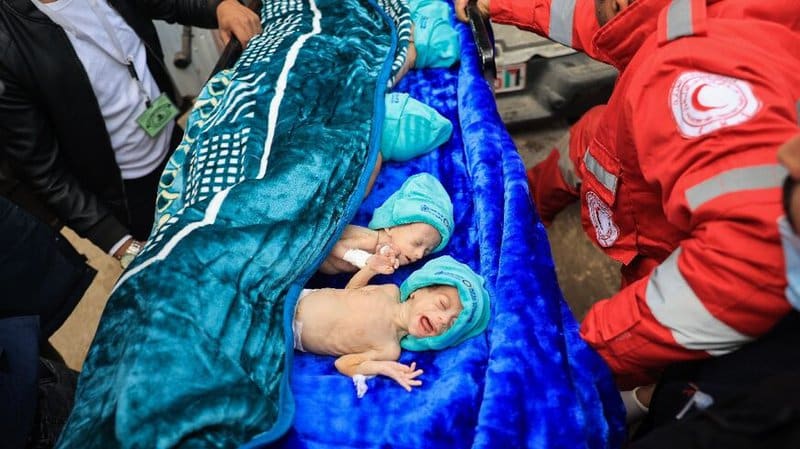 29 Premature Babies Evacuated From Gaza Arrive In Egypt