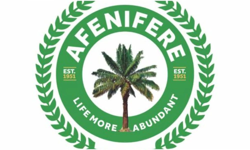 Fasoranti, Adebanjo’s Afenifere Factions Clash Over Supreme Court Verdict