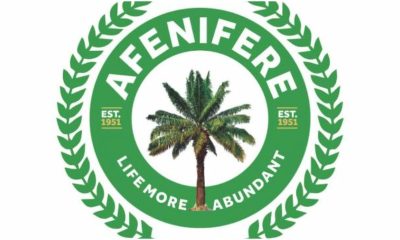 Tinubu Govt Destroying The Structures Of Nigeria's Federation - Afenifere