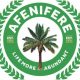 Tinubu Govt Destroying The Structures Of Nigeria's Federation - Afenifere