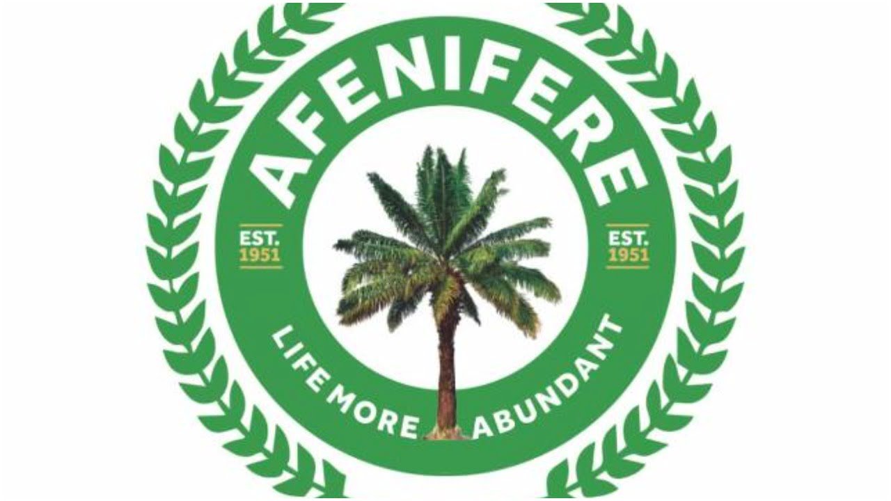 Fasoranti, Adebanjo’s Afenifere Factions Clash Over Supreme Court Verdict