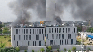 Canadian Embassy Fire: Witness Explains How Two People Died In Tragic Incident