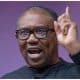 "It Is Not About Getting 100% Results, But About Making 100% Effort" - Peter Obi Reacts As Davido, Burna Boy, Others Lose At 2024 Grammy