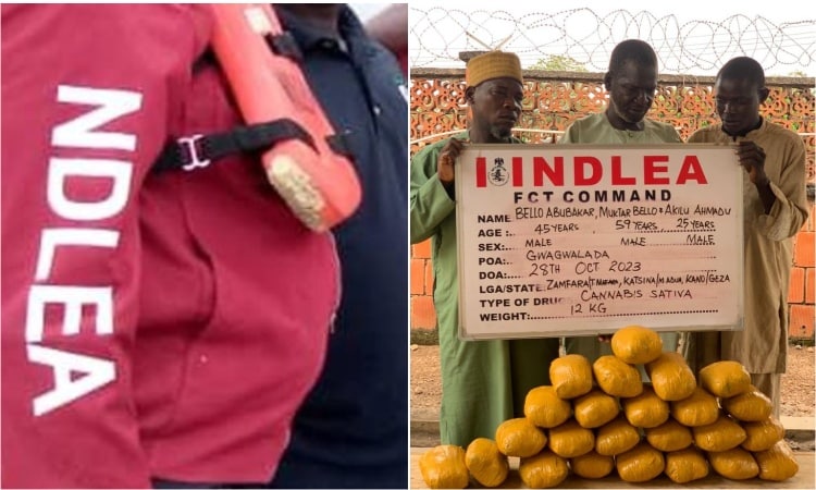 NDLEA Apprehends 3 Blind Drug Syndicate Members In Lagos And Kano, Recovers N13 Billion Worth Of Tramadol And Codeine