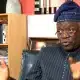 'Postponement Of Elections Is A Constitutional Coup' - Falana Asks ECOWAS To Sanction Senegalese President