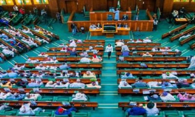 House of Representatives Probes Ministry's N4 Billion Expenditure on Sanitation Personnel