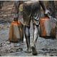 Nigeria Loses N4.3 Trillion To Oil Theft Over Five Years - FG