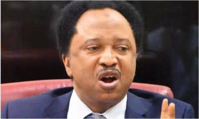 'Violent Protest In The North Was An Attempt To Overthrow Tinubu, Money, Flags Were Shared' - Shehu Sani Reveals
