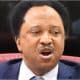 'Violent Protest In The North Was An Attempt To Overthrow Tinubu, Money, Flags Were Shared' - Shehu Sani Reveals