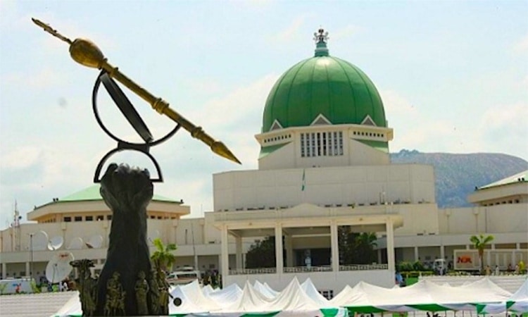 Senate To Consider Diaspora Voting Bill This Week – Sen Bamidele