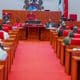 Senate Confirms Kelechi Ohiri As NHIA Director General