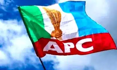Ekiti LG Election: APC Sweeps All 38 Chairmanship, 177 Councillorship Seats