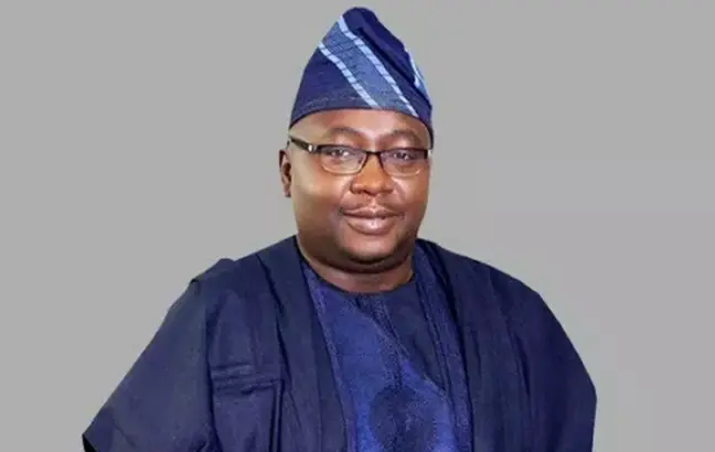 Don’t Pay New Electricity Tariff If You Do Not Get Up To 20 Hours Supply – Adelabu