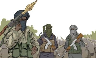 Armed Bandits Raid Zamfara State's Local Government Headquarters, Kidnap 10 Individuals