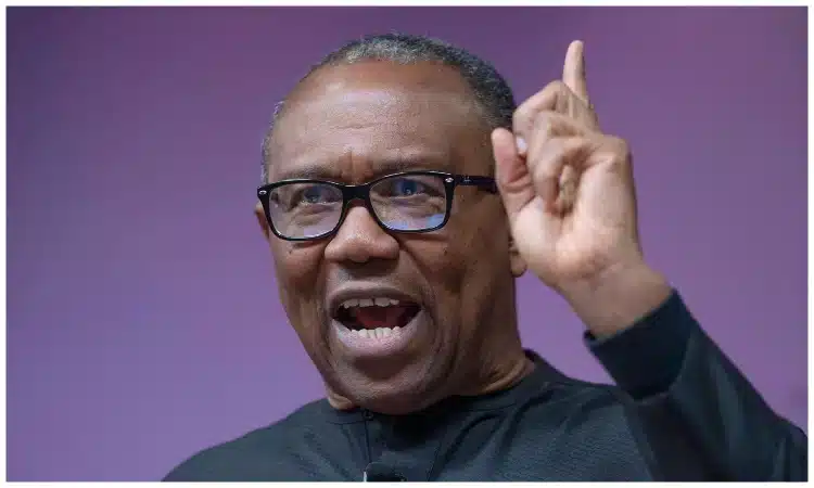 Why I Won’t Stop Speaking Against The 2024 Budget Till The End Of The Year – Peter Obi