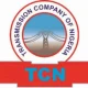 21 Power Projects Abandoned In South East Region Since 2019 – TCN