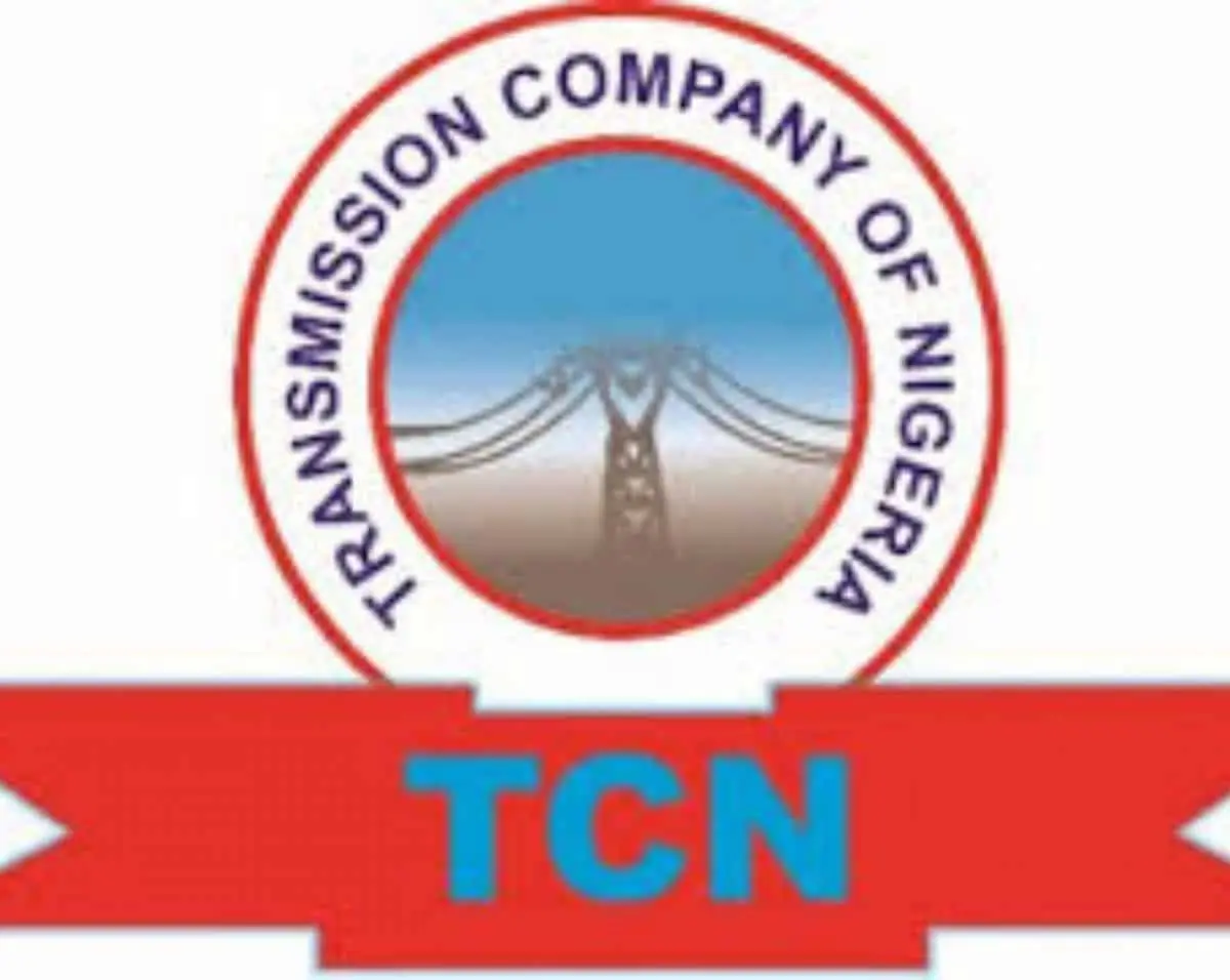 21 Power Projects Abandoned In South East Region Since 2019 – TCN
