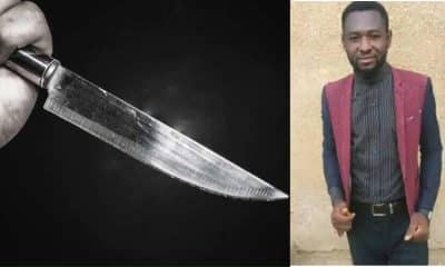 Tragedy Strikes ATBU As Final-Year Student Fatally Stabbed To Death By Robbers