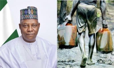Shettima, Governors Set Up Panels To Address Crude Oil Theft, Economic Issues