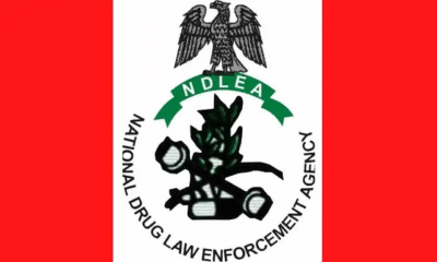 NDLEA Arrest Driver, Hair Stylist Who Sell Drug-laced Chin-Chin To Students