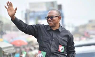 'We Are United Under Him' - Labour Party Names Peter Obi 2027 Presidential Candidate