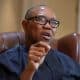 Customs Duties: Your Inconsistent Policies Negatively Affecting Businesses - Peter Obi Tells FG
