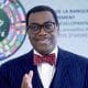COP28: Africa Could Lose $25 Billion Yearly Over New EU Carbon Tax – AfDB's Adesina