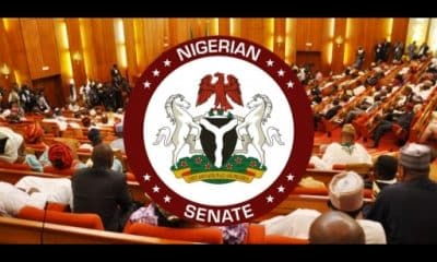 We Don't Intend To Punish Citizens' - Senate Committee Clarifies On Those Who Are To Pay Cybersecurity Levy