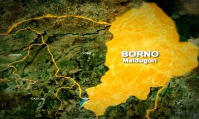 Explosives Kill Two Civilian JTF Members In Borno