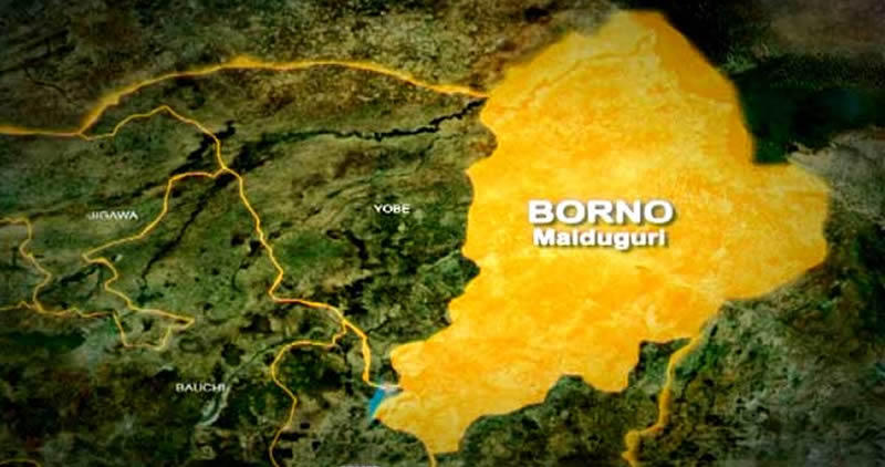 Explosives Kill Two Civilian JTF Members In Borno