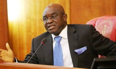Ex-Senate President, David Mark Writes FG On Nigeria's Insecurity