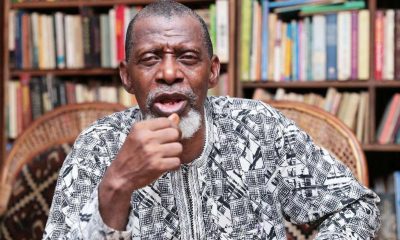 We Will Fight Tinubu If He Fails To Do It Right - Ofeimun