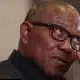 Accept Outcome Of 2023 Elections That Produced Tinubu - Coalition Tells Peter Obi