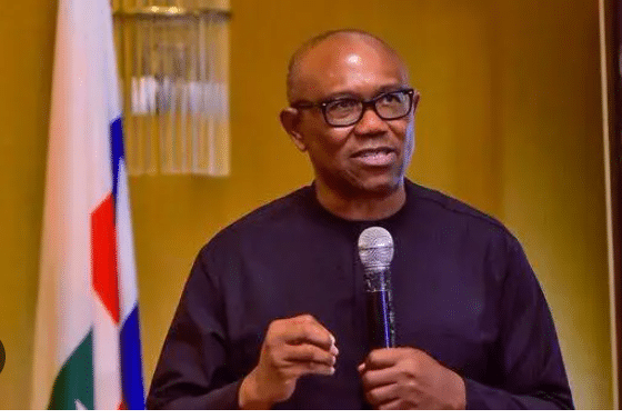 Deteriorating Security Situation In Nigeria Really Concerning - Peter Obi