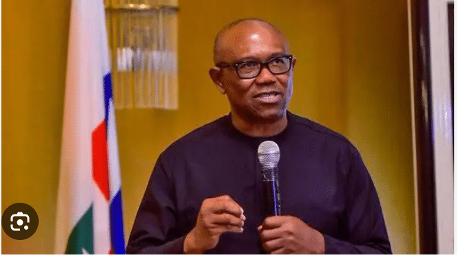 Peter Obi Speaks On Forensic Audit On LP's Accounts