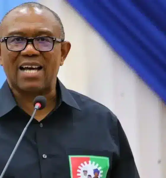 I'm Really Concerned About Nigeria's Borrowings - Peter Obi