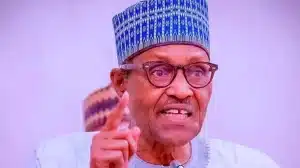 Naira Redesign Policy Gave Us Cleaner Elections - Buhari