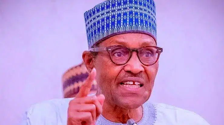 Naira Redesign Policy Gave Us Cleaner Elections - Buhari