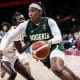 2024 Olympic Qualifier: Nigeria’s D’Tigress Defeats Senegal