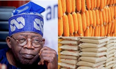 Hardship: Nigerians Will Not Need To Pay For Grain Bags, They Are Free – Presidency