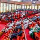 Senate Confirms Tinubu's Nominations For Appointment Into Police Service Commission