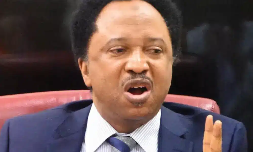 State Police Risks Becoming Ruling Party's Armed Wing, Recipe For Anarchy - Sani Warns